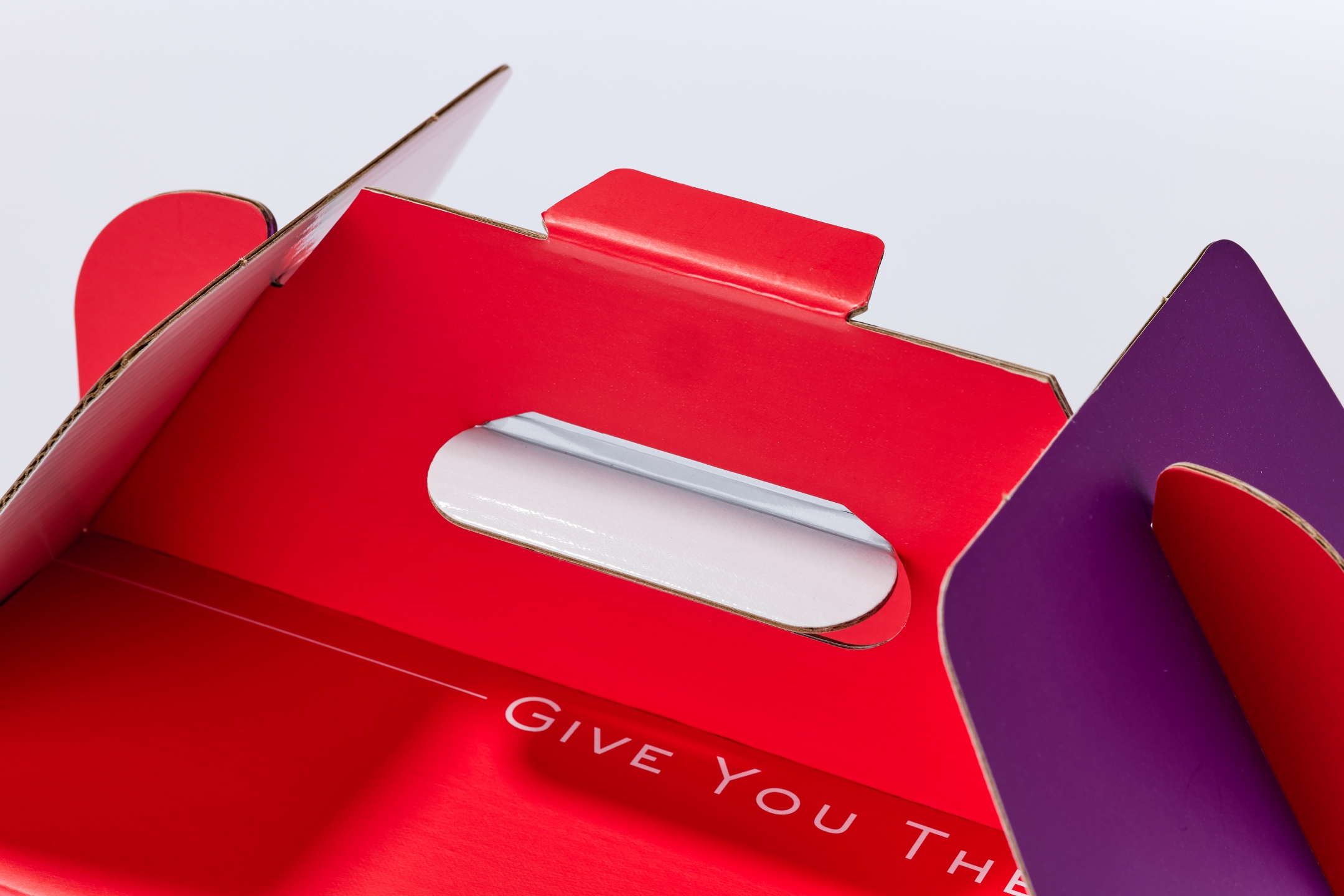 蔡記肉粽手提盒