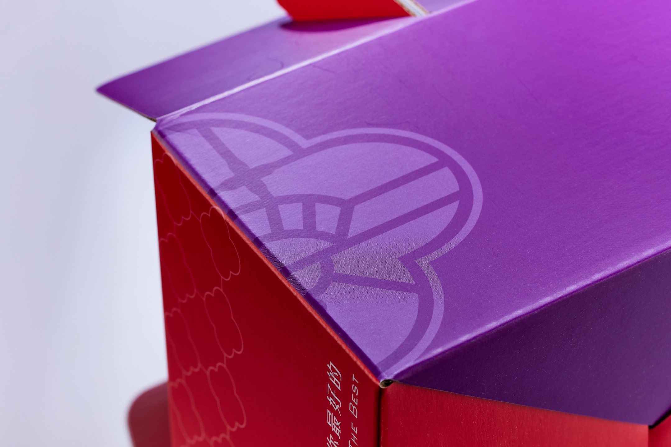 蔡記肉粽手提盒